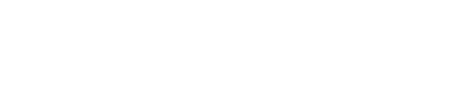 NPU.webp